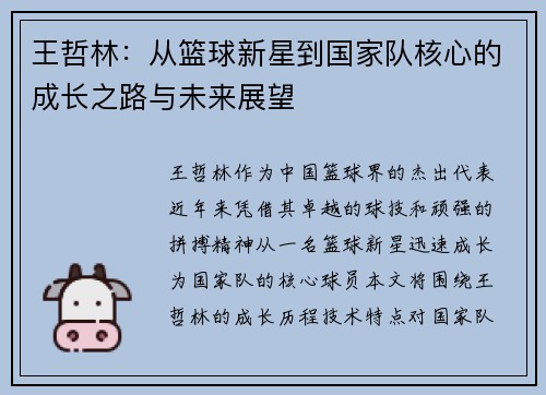王哲林：从篮球新星到国家队核心的成长之路与未来展望